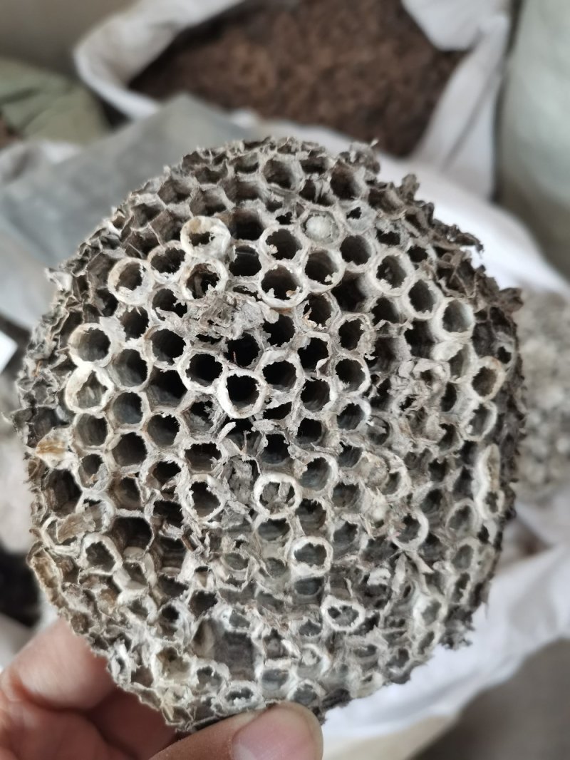 中药材蜂房大眼～小眼无添加干净无硫熏一斤起
