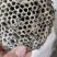 中药材蜂房大眼～小眼无添加干净无硫熏一斤起