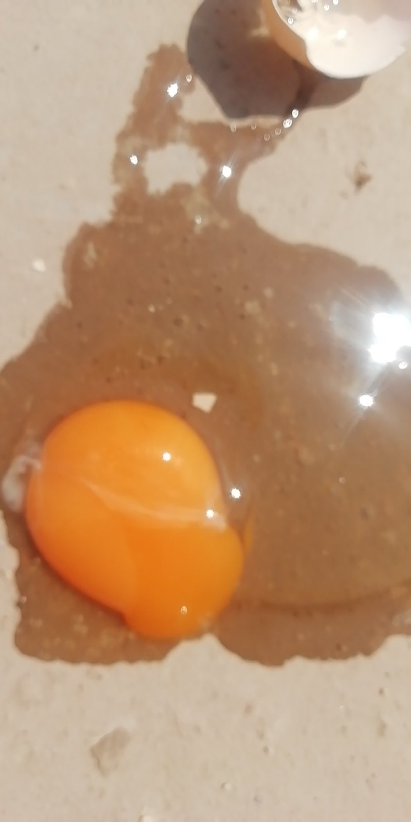 红心粉蛋粉蛋土鸡蛋，鸡厂直供，一手货源，欢迎各位老板来电