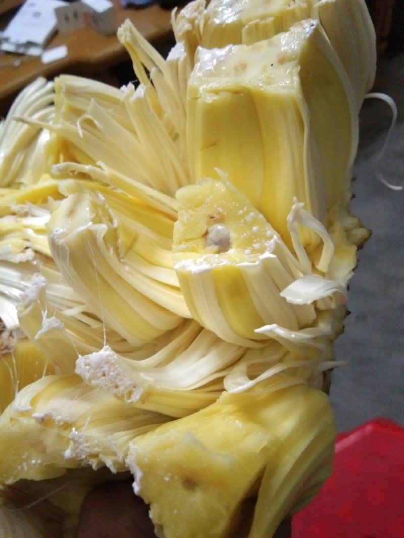 黄肉干包圆形真珠菠萝蜜，肉质包大饱满清甜口感好，产地直供