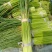 杞县优质红冒蒜苔大量上市中货源充足，全国发货
