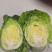 牛心甘蓝