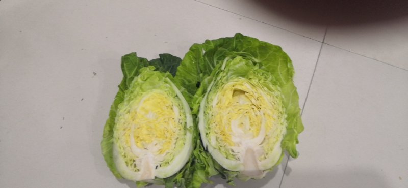 牛心甘蓝