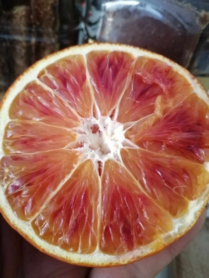 麻阳玫瑰香血橙，无籽化渣，香甜郁浓，水份充足，回味无穷