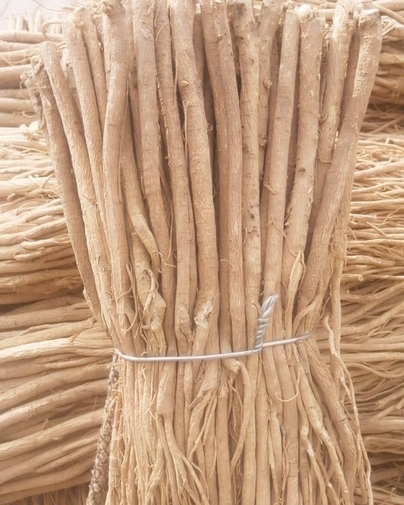 甘肃黄芪甘肃岷县黄芪甘肃北芪甘肃岷县北芪无硫黄芪
