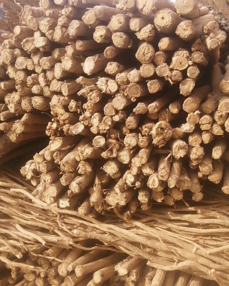 甘肃黄芪甘肃岷县黄芪甘肃北芪甘肃岷县北芪无硫黄芪