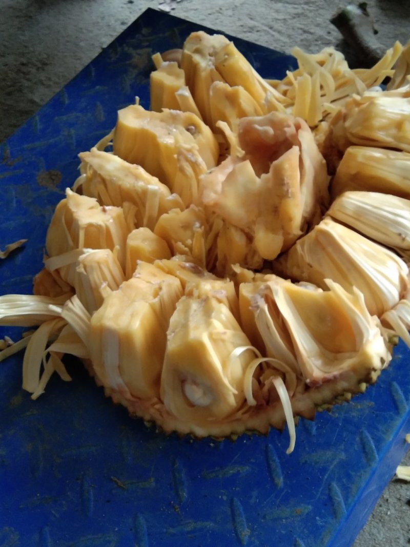 产地大量黄肉干包菠萝蜜货源有需要的老板前来定购