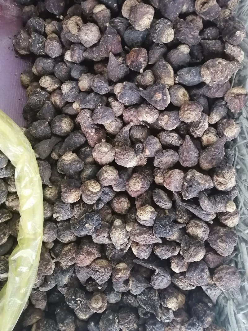 丽江纯野生黑玛咖品质优