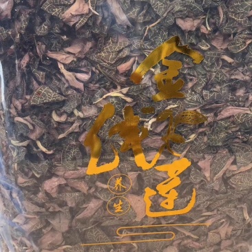 金线莲
