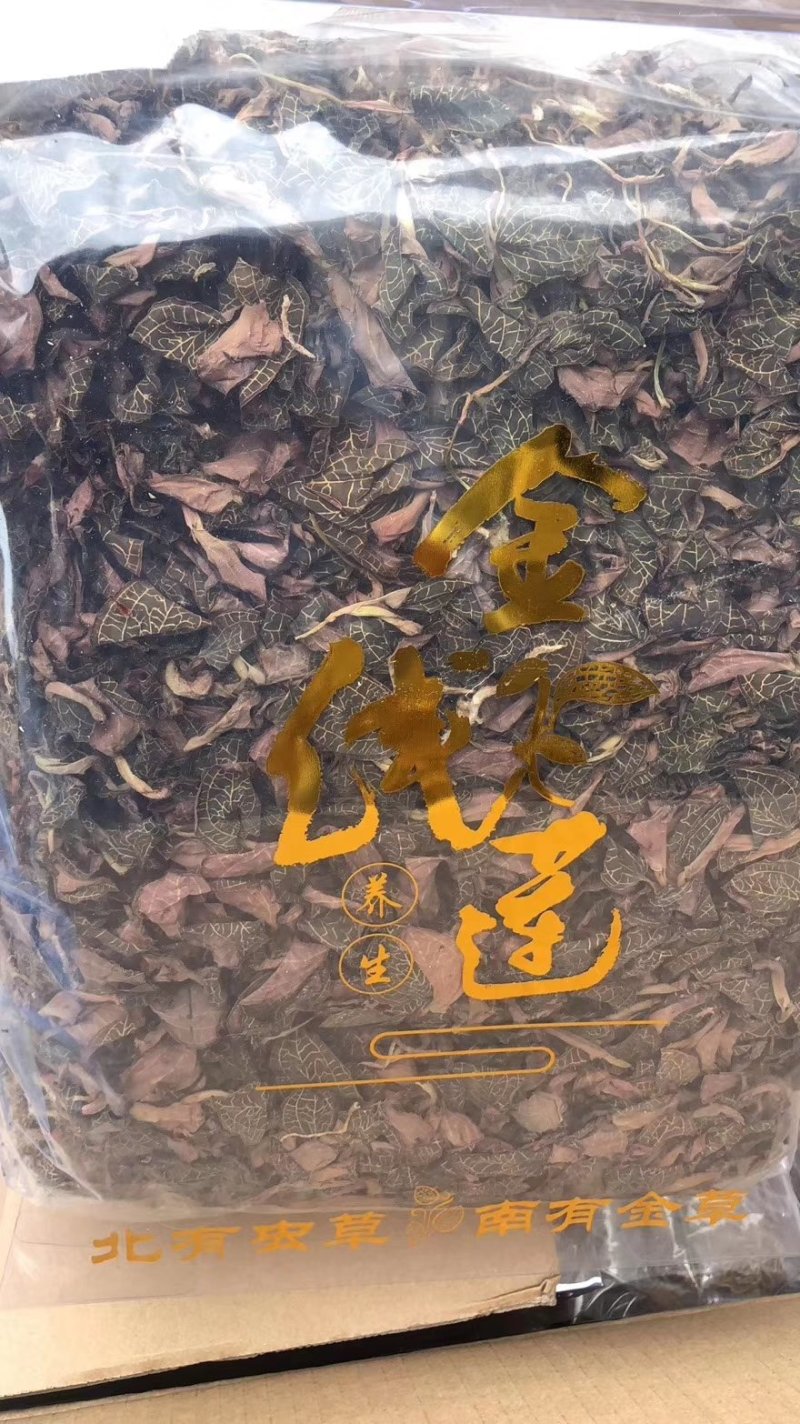 金线莲