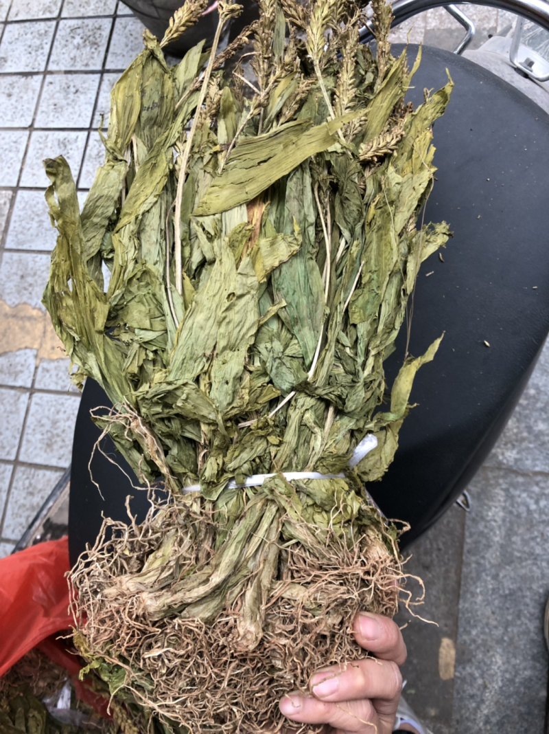 新货见血清扎把货漂亮