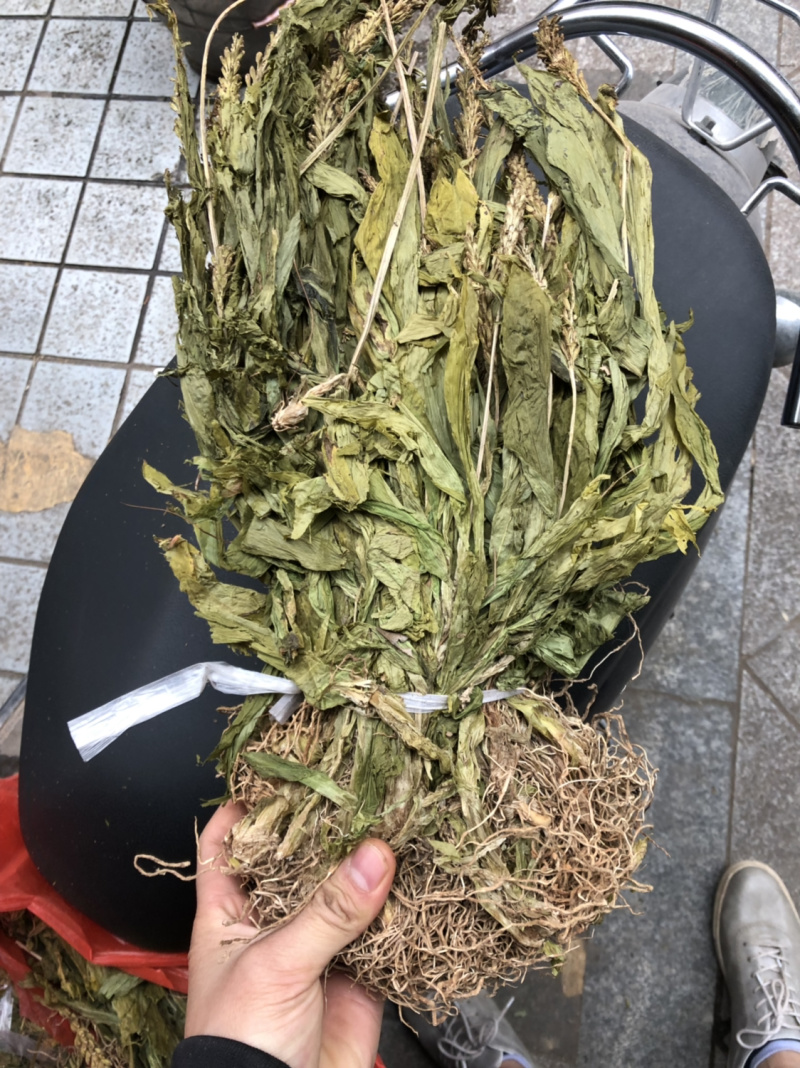 新货见血清扎把货漂亮