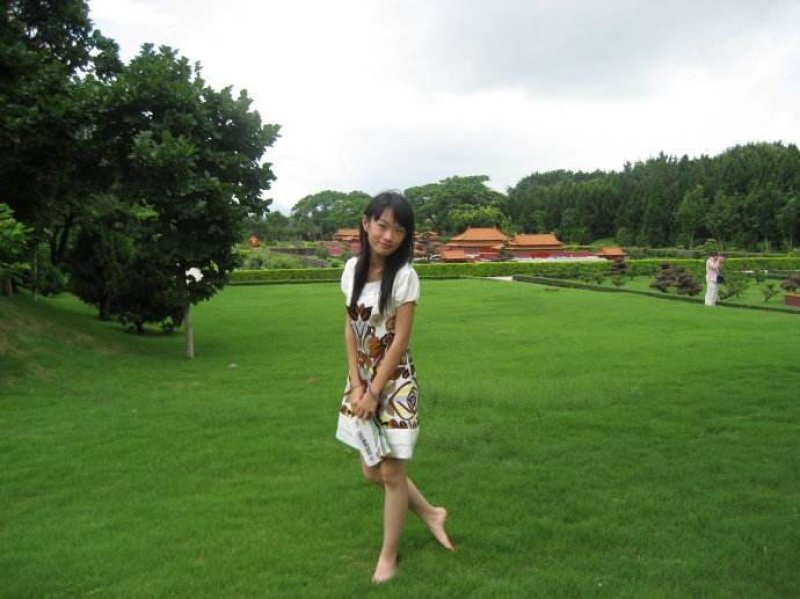 高羊茅种子草坪种子四季常青草坪种子耐寒免修剪