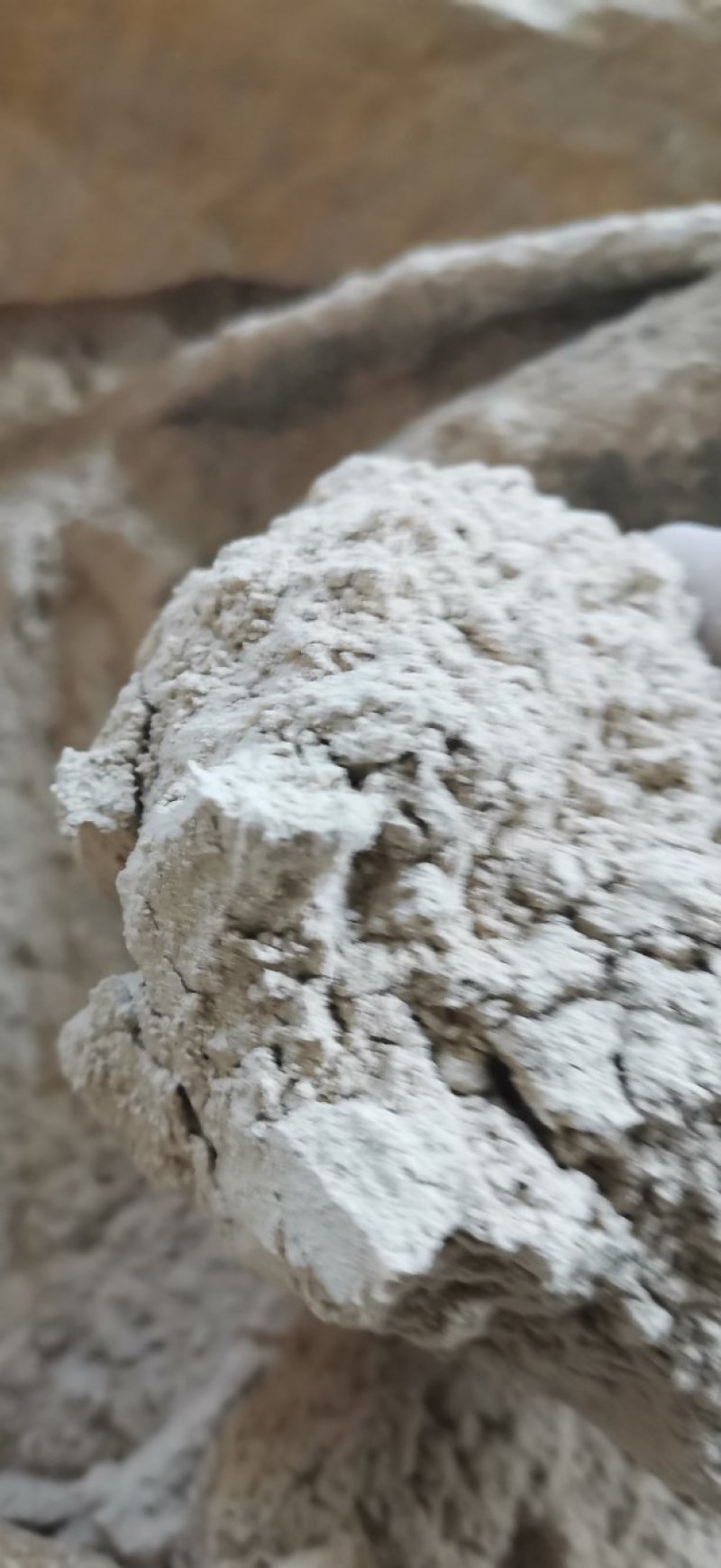 脉冲灰，谷糠蚊香原料，肥料原料，产品质量保证，欢迎咨询