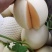 山东莘县白皮红肉福脆密洋香瓜