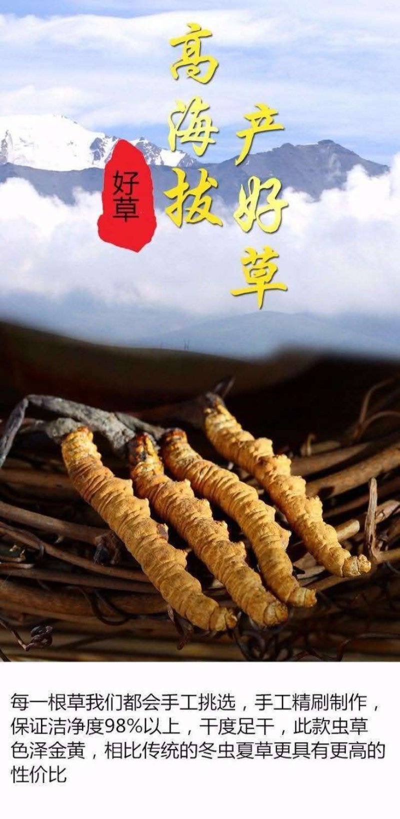 西藏那曲冬虫夏草那曲虫草冬虫夏草正品礼盒装