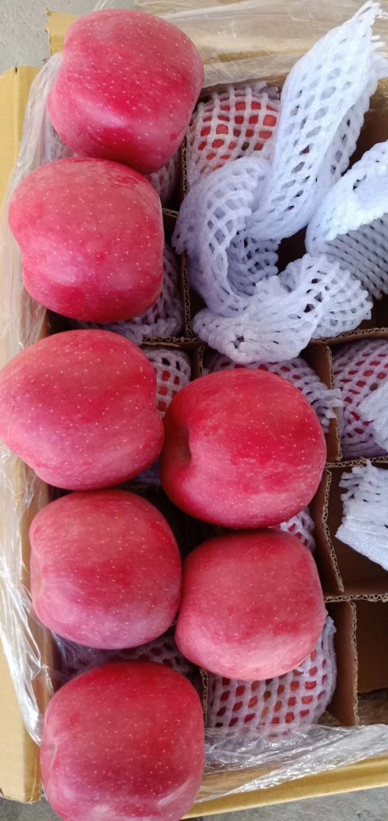 【片红红富士】🍎红富士苹果色泽鲜艳口感脆甜纸袋