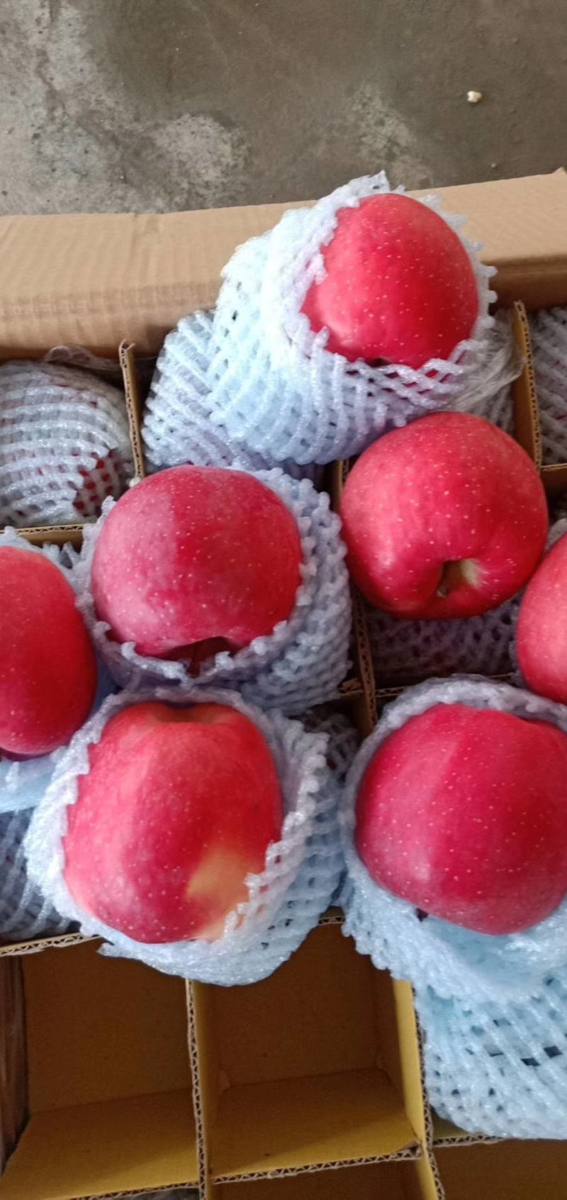 【片红红富士】🍎红富士苹果色泽鲜艳口感脆甜纸袋
