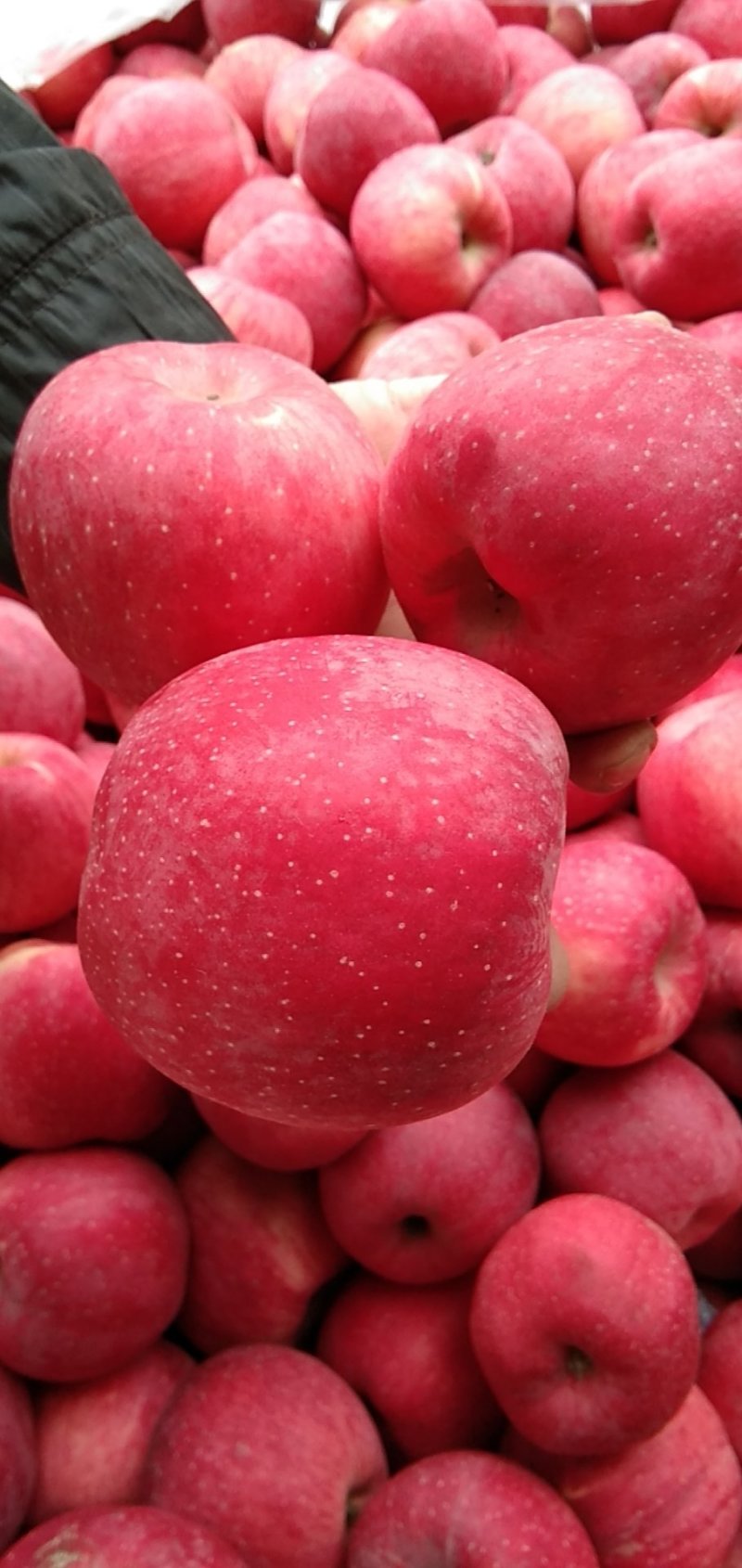 【片红红富士】🍎红富士苹果色泽鲜艳口感脆甜纸袋