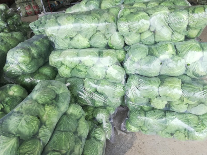 包菜甘蓝市场货电商货包菜圆包菜多多买菜美团