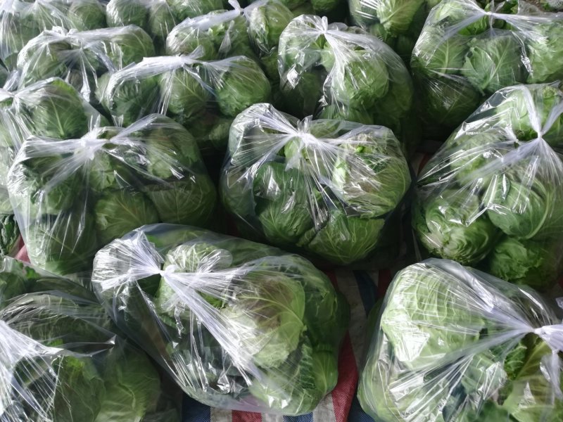 包菜甘蓝市场货电商货包菜圆包菜多多买菜美团