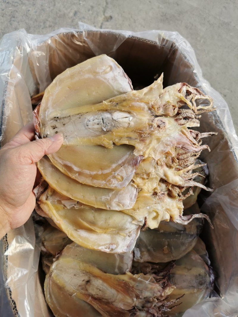 淡晒墨鱼干，乌贼，北海墨鱼一斤4到6个左右墨鱼干
