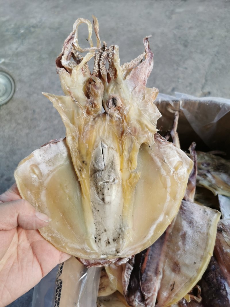 淡晒墨鱼干，乌贼，北海墨鱼一斤4到6个左右墨鱼干