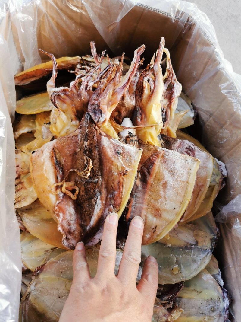 淡晒墨鱼干，乌贼，北海墨鱼一斤4到6个左右墨鱼干
