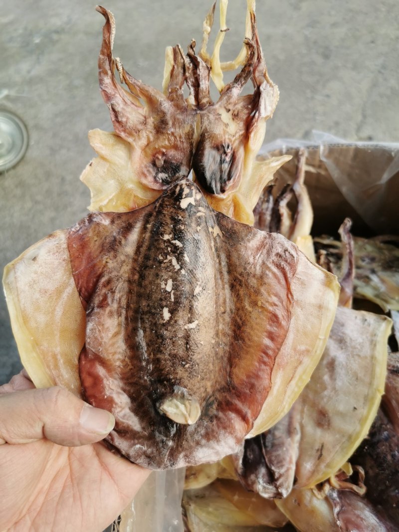 淡晒墨鱼干，乌贼，北海墨鱼一斤4到6个左右墨鱼干