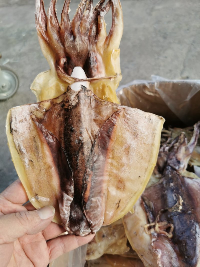 淡晒墨鱼干，乌贼，北海墨鱼一斤4到6个左右墨鱼干