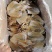 淡晒墨鱼干，乌贼，北海墨鱼一斤4到6个左右墨鱼干