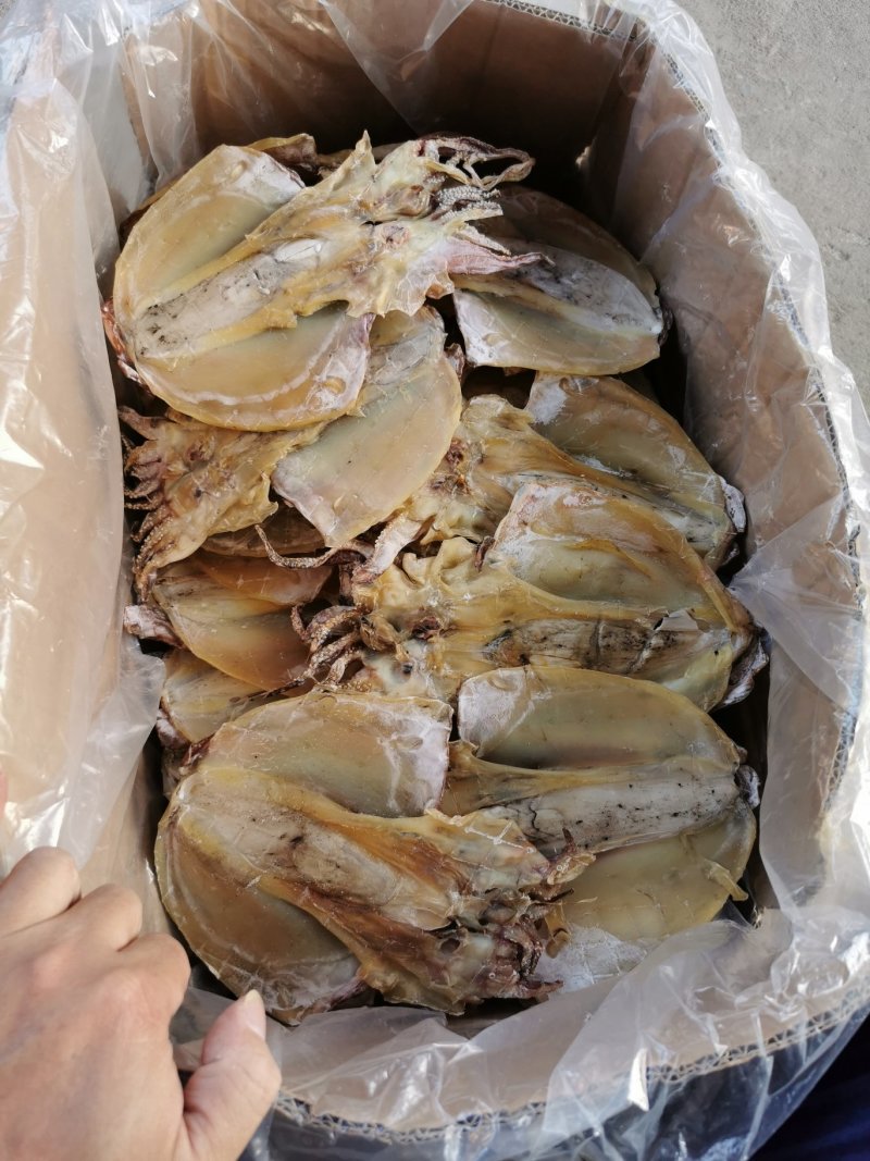 淡晒墨鱼干，乌贼，北海墨鱼一斤4到6个左右墨鱼干