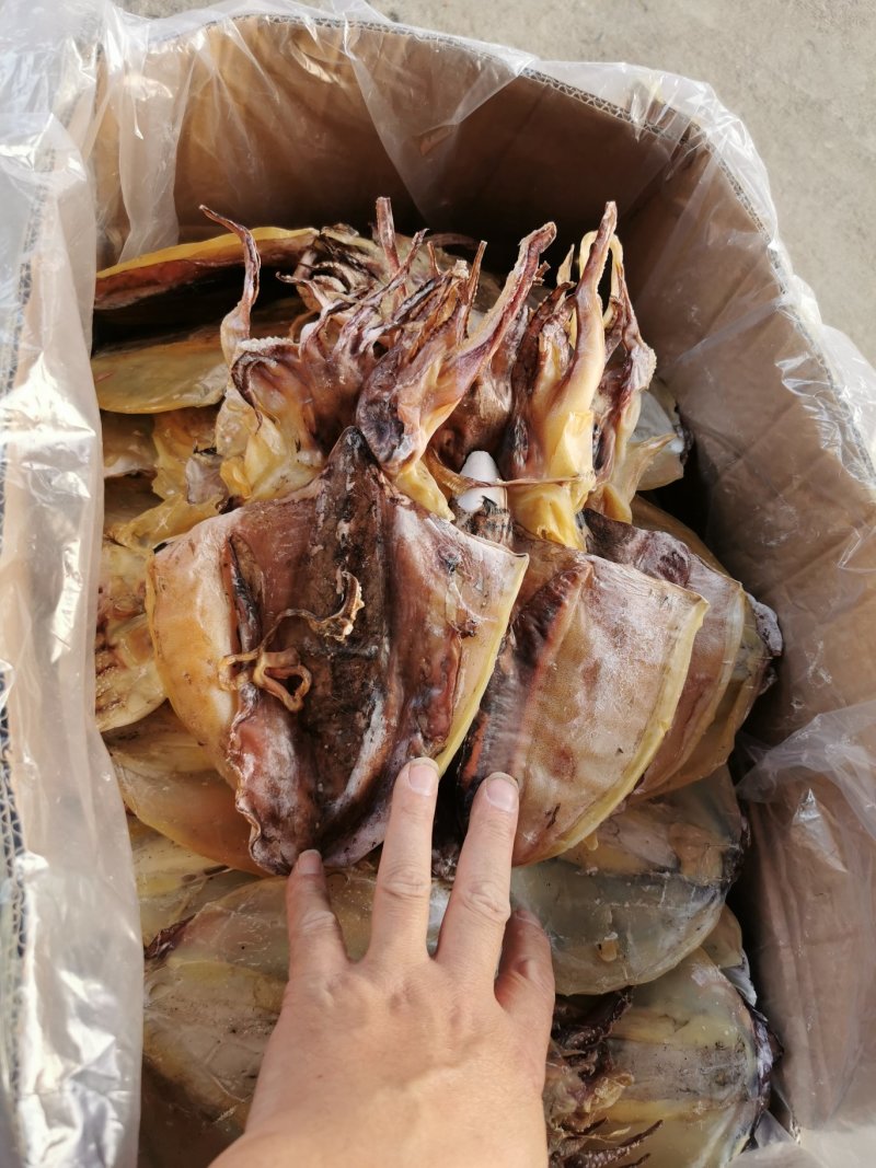 淡晒墨鱼干，乌贼，北海墨鱼一斤4到6个左右墨鱼干
