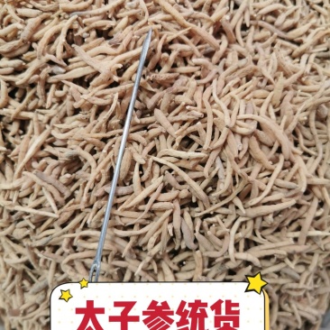 太子参无硫精选太子参童参孩儿参产地直销量大从优
