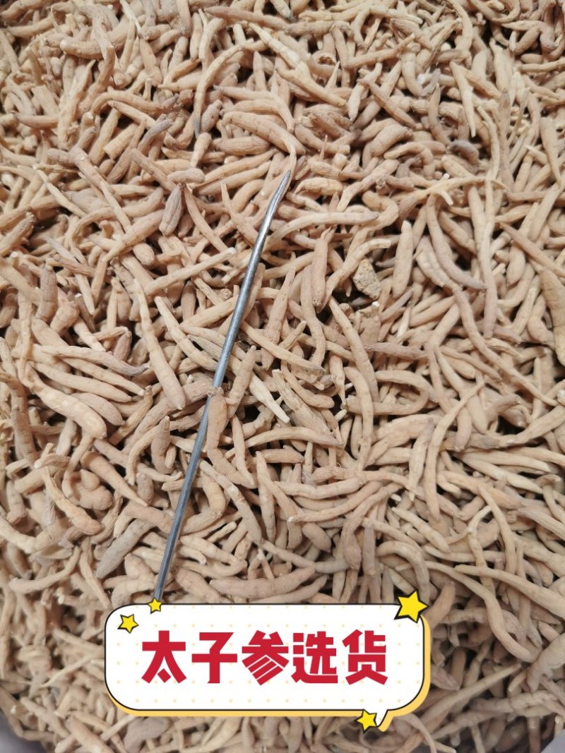 太子参无硫精选太子参童参孩儿参产地直销量大从优