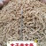 太子参无硫精选太子参童参孩儿参产地直销量大从优