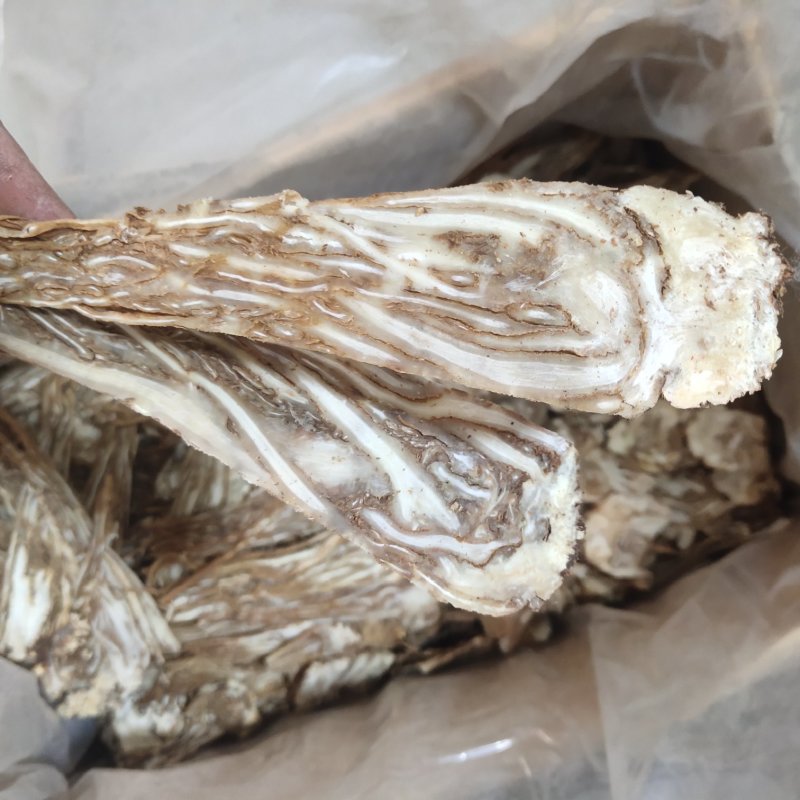 当归当归佛首片新货关书药业批发中药材