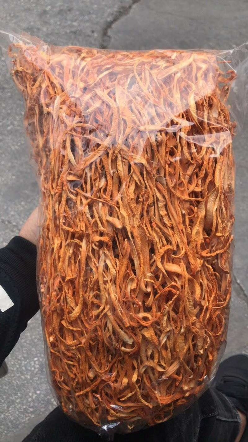 虫草花饱子头排草虫草花煮汤搭配伴侣菌汤包