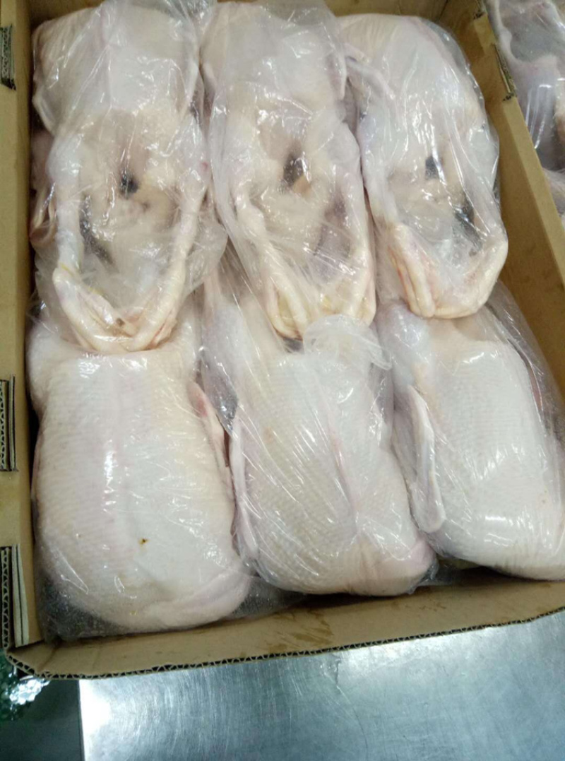 白鸭肉