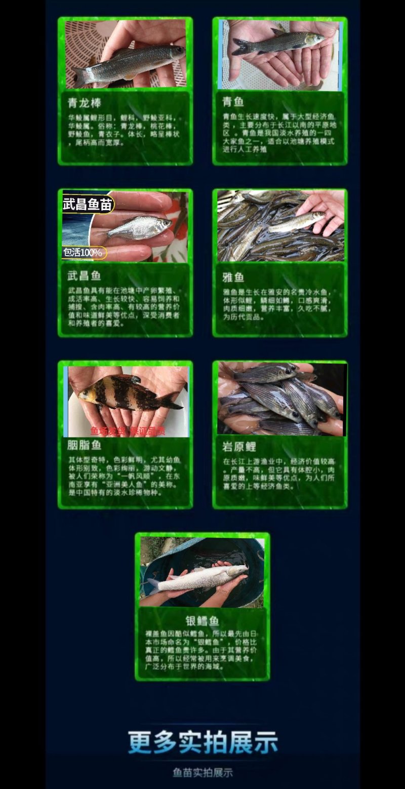 鱼苗常年出售各种名优鱼苗鱼场直供保证品质量大从优