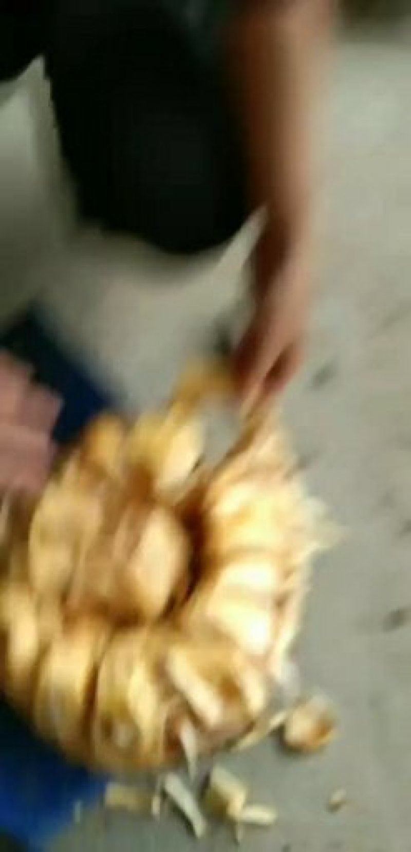 菠萝蜜