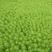 狐尾藻.粉绿狐尾藻.四季可栽种.大量有货