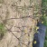 杜鹃映山红黄色红色都正品干花都有观赏药用