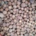 毛桃核大货批发规格齐全颜色好一手货源价格优！