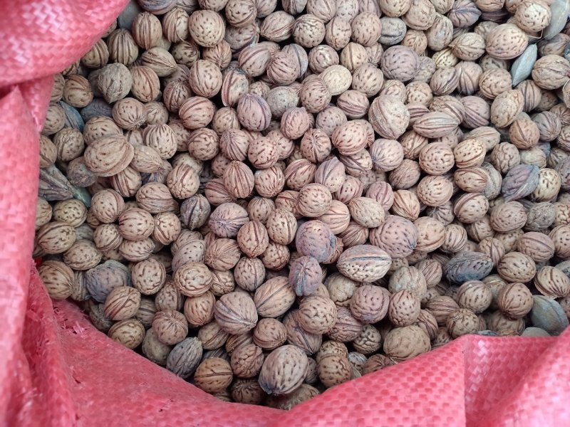 毛桃核大货批发规格齐全颜色好一手货源价格优！