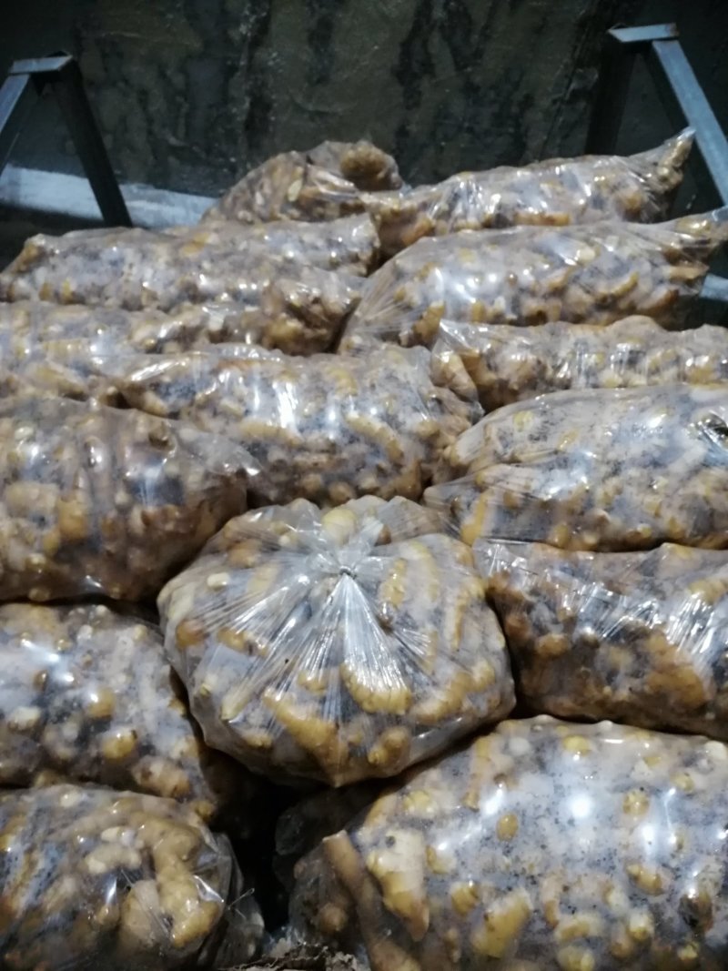 精品黄姜！姜头黄姜姜巴次品，一两到三两都有