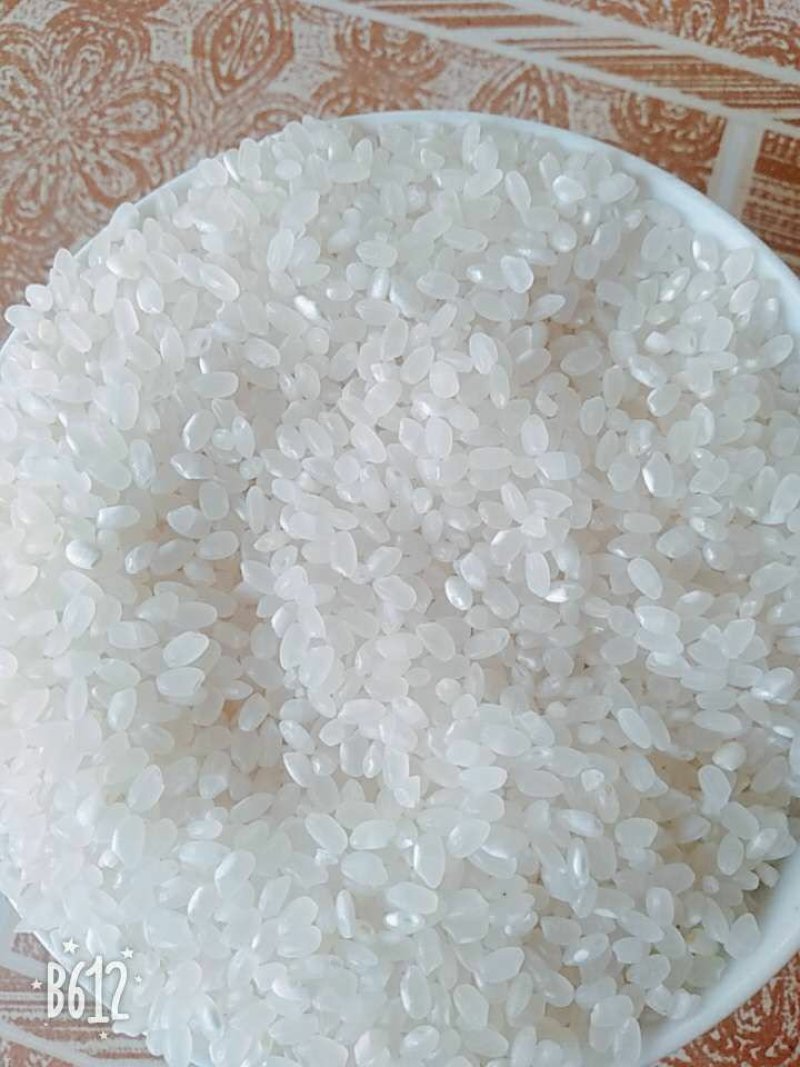 精品大米