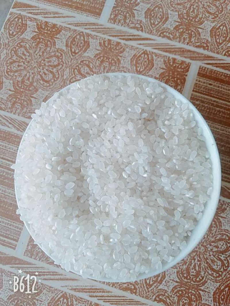 精品大米