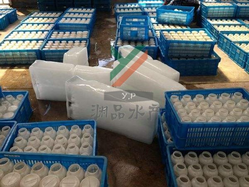 水产品蔬菜海鲜扇贝运输储存保鲜降温冰块碎冰冰棒