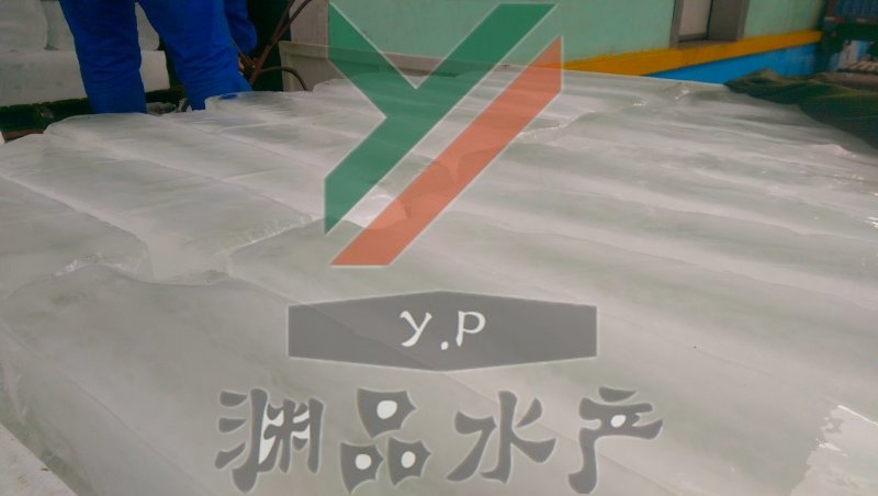 水产品蔬菜海鲜扇贝运输储存保鲜降温冰块碎冰冰棒